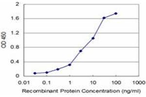 Detection limit for recombinant GST tagged USP9X is approximately 0. (USP9X antibody  (AA 1-90))