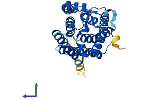 AlphaFold protein structure predicition of Human Recombinant ELOVL6 Protein, UniprotID Q9H5J4 (ELOVL6 Protein (AA 1-265) (His tag))