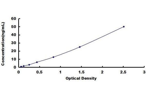 AEBP1 ELISA Kit