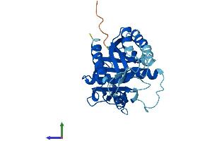 Protein Structure (PS) image for Nucleotide Binding Protein 2 (NUBP2) (AA 1-275) protein (His tag) (ABIN7556181)