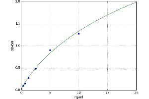 Angiopoietin-Like 2 (ANGPTL2) ELISA Kit