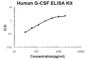 Human G-CSF PicoKine ELISA Kit standard curve (G-CSF ELISA Kit)