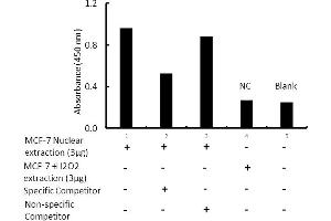 Activity Assay (AcA) image for Estrogen Receptor 1 (ESR1) ELISA Kit (ABIN5690752)