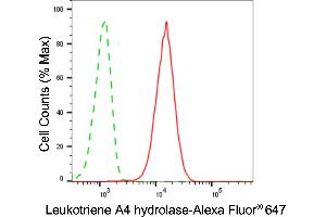 anti-Leukotriene A4 Hydrolase (LTA4H) antibody