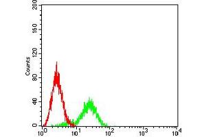 Flow cytometric analysis of Ramos cells using CD114 mouse mAb (green) and negative control (red). (CSF3R antibody  (AA 25-187))