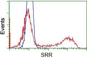 Flow Cytometry (FACS) image for anti-Serine Racemase (SRR) antibody (ABIN1501134)