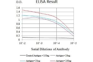 Black line: Control Antigen (100 ng),Purple line: Antigen (10 ng), Blue line: Antigen (50 ng), Red line:Antigen (100 ng) (Ataxin 1 antibody  (AA 645-815))
