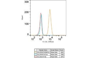 Flow cytometry: Jurkat cells were stained with Rabbit IgG isotype control (, 10 μg/mL, blue line) or CD3H Rabbit mAb (ABIN7266174, 10 μg/mL orange line), followed by goat anti-Rabbit pAb FITC (1:200 dilution) staining. (CD247 antibody)