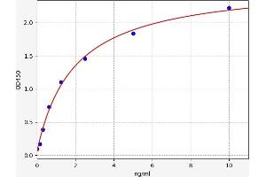 S100A1 ELISA Kit