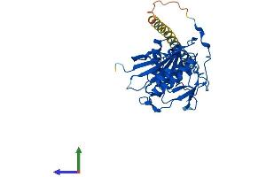 Protein Structure (PS) image for UDP-Gal:betaGlcNAc beta 1,4- Galactosyltransferase, Polypeptide 4 (B4GALT4) (AA 1-344) protein (His tag) (ABIN7552550)
