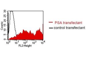 FACS analysis of BOSC23 cells using LT-3D2. (Prostate Specific Antigen antibody)