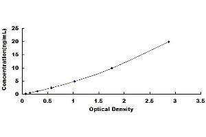 Typical standard curve (Angiopoietin 2 ELISA Kit)