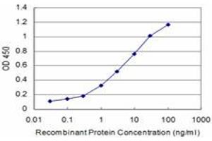 Detection limit for recombinant GST tagged RCV1 is approximately 0. (Recoverin antibody  (AA 101-199))