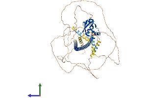 Protein Structure (PS) image for Dachshund 2 (DACH2) (AA 1-634) protein (His tag) (ABIN7564870)
