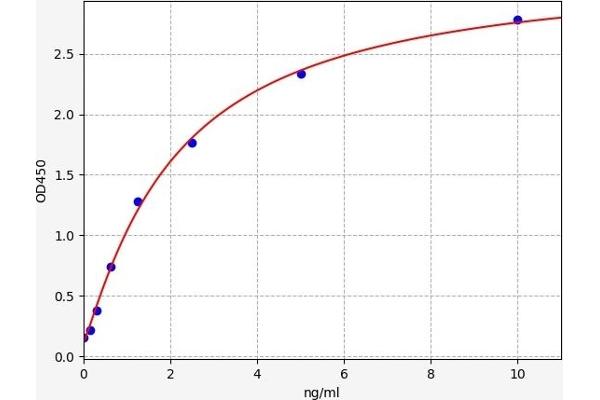 Angiopoietin 4 ELISA Kit