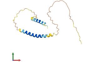 AlphaFold protein structure predicition of Mouse Recombinant Kcne5 Protein, UniprotID Q9QZ26