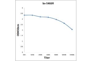 Antigen: 0. (JunD antibody  (pSer255))