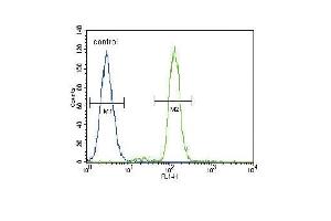 CD14 Antibody (C-term) (ABIN390261 and ABIN2840719) flow cytometric analysis of A549 cells (right histogram) compared to a negative control cell (left histogram).