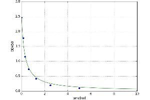 Estrone ELISA Kit