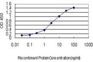 Detection limit for recombinant GST tagged PDE3A is approximately 0. (PDE3A antibody  (AA 533-640))