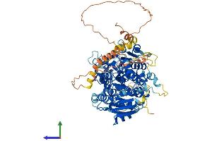 AlphaFold protein structure predicition of Human Recombinant UTP25 Protein, UniprotID Q68CQ4 (UTP25/DIEXF Protein (AA 1-756) (His tag))