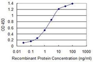 Detection limit for recombinant GST tagged TBL1XR1 is 0. (TBL1XR1 antibody  (AA 81-178))