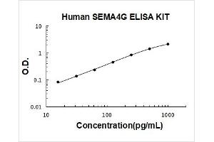 Semaphorin 4G (SEMA4G) ELISA Kit
