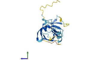 AlphaFold protein structure predicition of Human Recombinant ERVK-8 Protein, UniprotID P63122