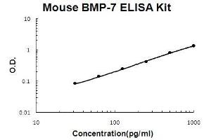 Mouse BMP-7 PicoKine ELISA Kit standard curve