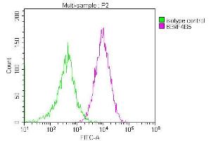 Overlay histogram showing Jurkat cells stained with ABIN7147181 (red line) at 1:200. (CD81 antibody)