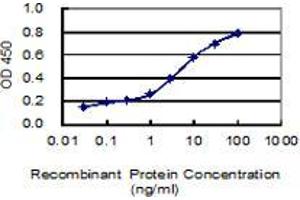 Detection limit for recombinant GST tagged PRICKLE1 is 0. (PRICKLE1 antibody  (AA 684-756))