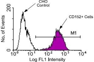 Flow Cytometry (FACS) image for anti-Cytotoxic T-Lymphocyte-Associated Protein 4 (CTLA4) antibody (FITC) (ABIN371056) (CTLA4 antibody  (FITC))