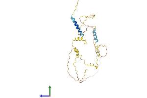 AlphaFold protein structure predicition of Human Recombinant LIME1 Protein, UniprotID Q9H400