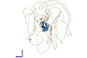 AlphaFold protein structure predicition of Mouse Recombinant Topors Protein, UniprotID Q80Z37
