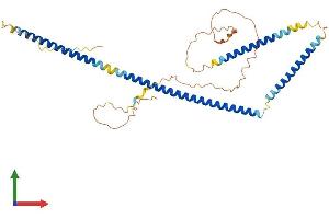 AlphaFold protein structure predicition of Human Recombinant AZI2 Protein, UniprotID Q9H6S1 (AZI2 Protein (AA 1-392) (His tag))