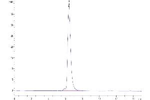 The purity of Human VEGF R3/FLT4 is greater than 95 % as determined by SEC-HPLC. (FLT4 Protein (AA 25-776) (Fc Tag))