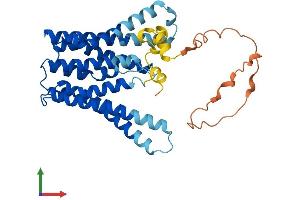 AlphaFold protein structure predicition of Mouse Recombinant Tmem185b Protein, UniprotID Q8R3R5 (TMEM185B Protein (AA 1-350) (His tag))