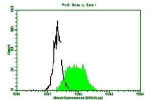 Fluorescence Flow Cytometry: Hela cells strained with Mouse anti-B2MG mAb clone D2E9 and fluorescence labelled secondary antibody. (beta-2 Microglobulin antibody)