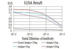 Black line: Control Antigen (100 ng),Purple line: Antigen (10 ng), Blue line: Antigen (50 ng), Red line:Antigen (100 ng) (MPL antibody  (AA 26-175))
