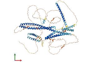 AlphaFold protein structure predicition of Mouse Recombinant Disc1 Protein, UniprotID Q811T9 (DISC1 Protein (AA 1-852) (His tag))