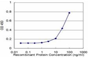 Detection limit for recombinant GST tagged S100P is approximately 3ng/ml as a capture antibody. (S100P antibody  (AA 1-95))