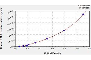 NBL1 ELISA Kit