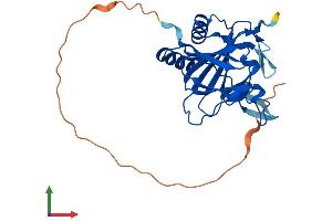 AlphaFold protein structure predicition of Human Recombinant ALKBH2 Protein, UniprotID Q6NS38