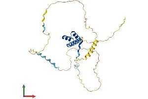 AlphaFold protein structure predicition of Mouse Recombinant Hoxd8 Protein, UniprotID P23463