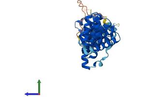 Protein Structure (PS) image for Translocase of Outer Mitochondrial Membrane 34 (TOMM34) (AA 1-309) protein (His tag) (ABIN7544501)