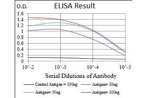 ELISA image for anti-Retinoblastoma-Like 2 (p130) (RBL2) (AA 939-1139) antibody (ABIN5542553)