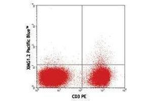 Flow Cytometry (FACS) image for anti-Interferon gamma (IFNG) antibody (Pacific Blue) (ABIN2662098) (Interferon gamma antibody  (Pacific Blue))