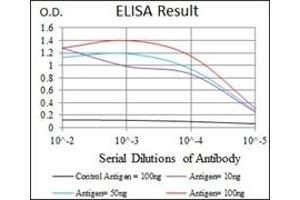ELISA image for anti-Hyaluronan Synthase 3 (HAS3) antibody (ABIN1107625) (HAS3 antibody)