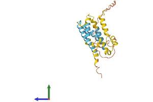 AlphaFold protein structure predicition of Human Recombinant CMTM5 Protein, UniprotID Q96DZ9 (CMTM5 Protein (AA 1-223) (His tag))