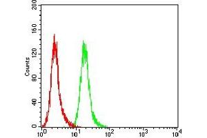 Flow cytometric analysis of Hela cells using SOX11 mouse mAb (green) and negative control (red).